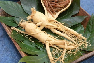 Những hiểu biết về Sâm Châu Á (Panax Ginseng)